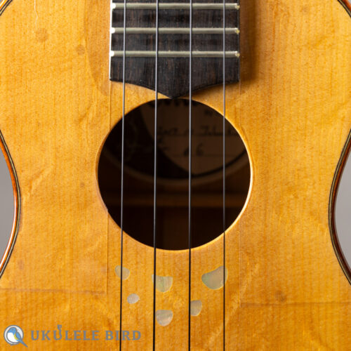 Oulcraft Concert LongNeck  Spruce/Myrtle