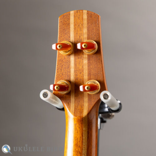 Oulcraft Concert LongNeck  Spruce/Myrtle