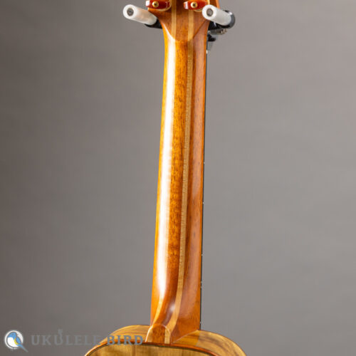 Oulcraft Concert LongNeck  Spruce/Myrtle