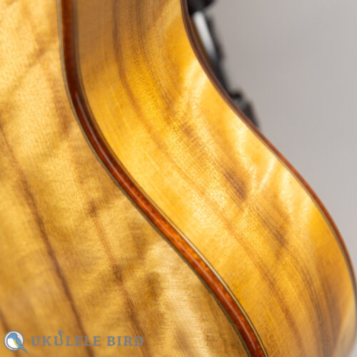 Oulcraft Concert LongNeck  Spruce/Myrtle