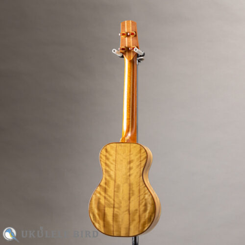 Oulcraft Concert LongNeck  Spruce/Myrtle