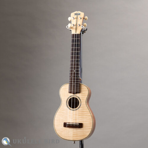 Antar Soprano Longneck Sycamore/Hawaiian Koa Used