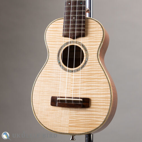 Antar Soprano Longneck Sycamore/Hawaiian Koa Used