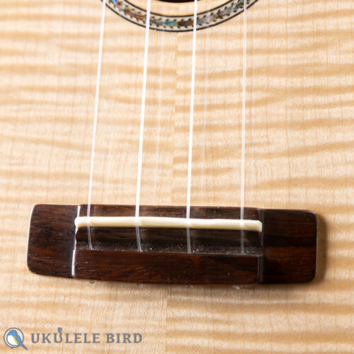 Antar Soprano Longneck Sycamore/Hawaiian Koa Used