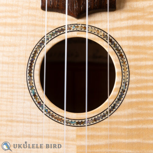 Antar Soprano Longneck Sycamore/Hawaiian Koa Used