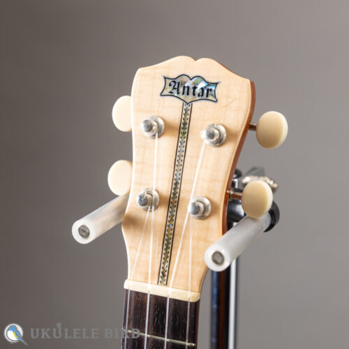 Antar Soprano Longneck Sycamore/Hawaiian Koa Used