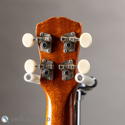 Antar Soprano Longneck Sycamore/Hawaiian Koa Used