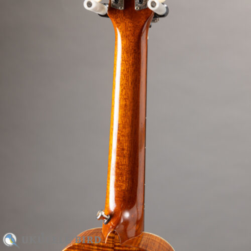 Antar Soprano Longneck Sycamore/Hawaiian Koa Used
