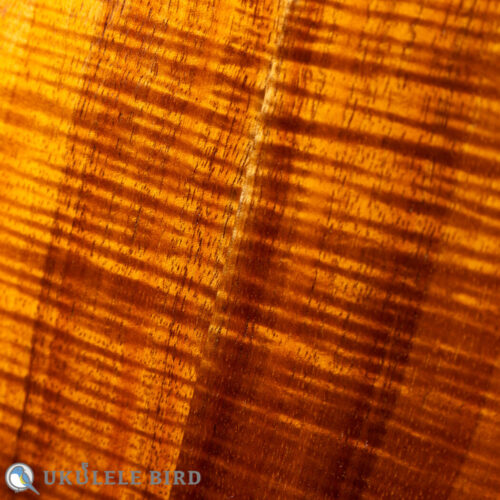 Antar Soprano Longneck Sycamore/Hawaiian Koa Used