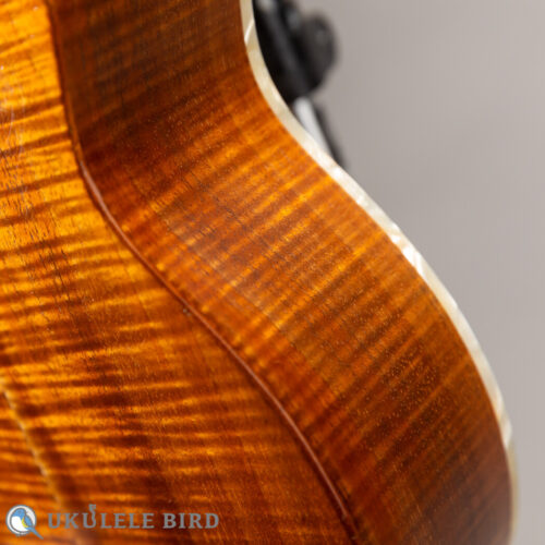 Antar Soprano Longneck Sycamore/Hawaiian Koa Used