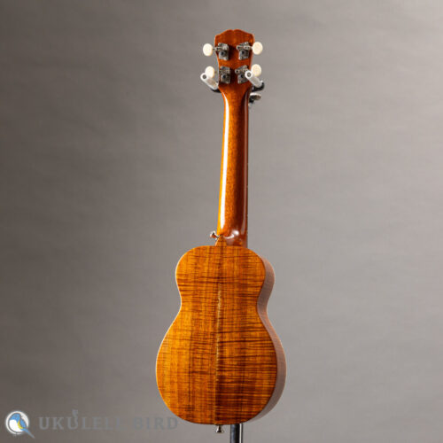 Antar Soprano Longneck Sycamore/Hawaiian Koa Used