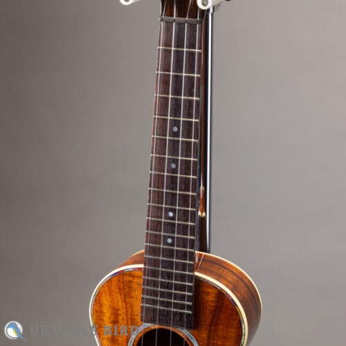 Majesty MC-3K2