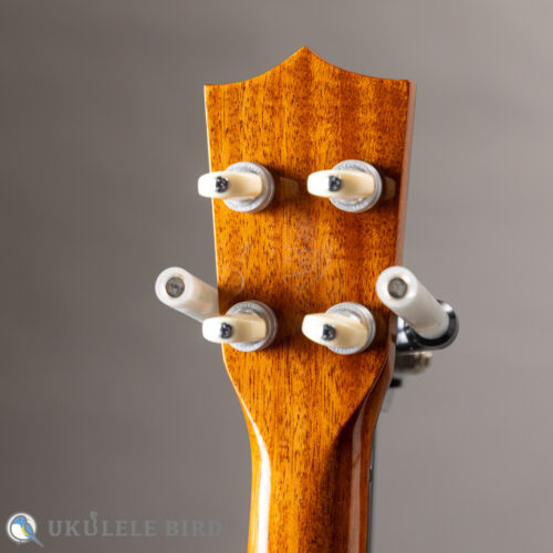 Majesty MC-3K2
