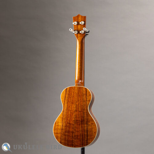 Majesty MC-3K