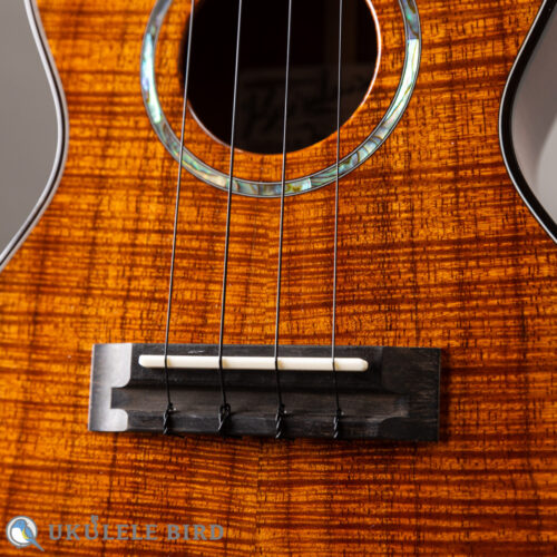 Ko’olau C-100 Concert Plumeria UB 5th