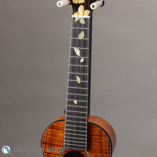 Ko’olau C-100 Concert Plumeria UB 5th