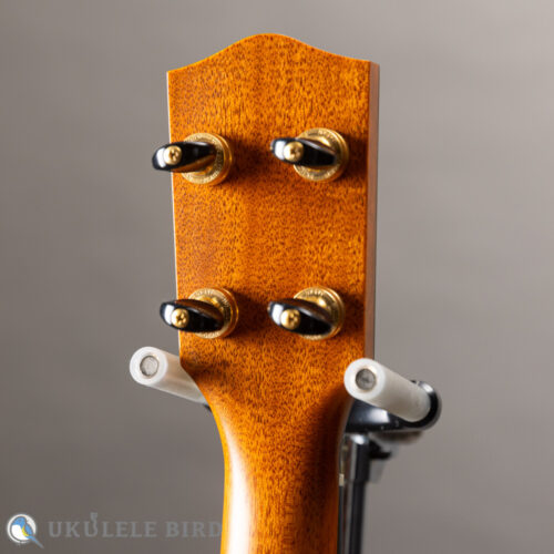 Ko’olau C-100 Concert Plumeria UB 5th