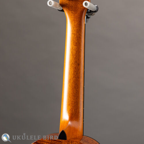 Ko’olau C-100 Concert Plumeria UB 5th