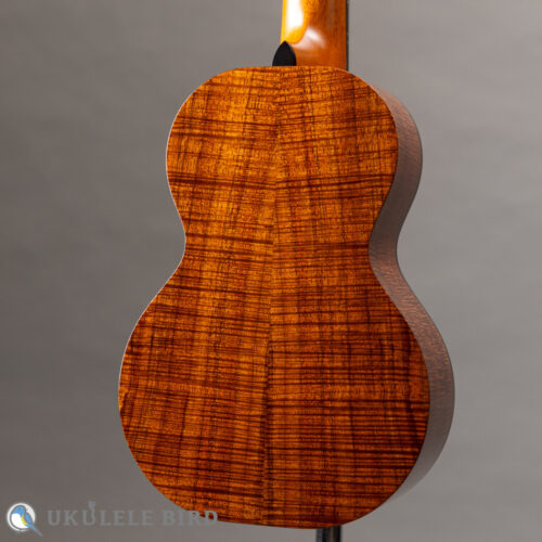 Ko’olau C-100 Concert Plumeria UB 5th