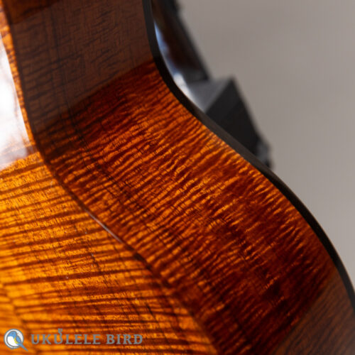 Ko’olau C-100 Concert Plumeria UB 5th