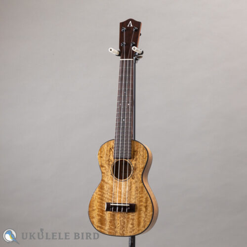 Asturias Tiny Concert Mango LTD