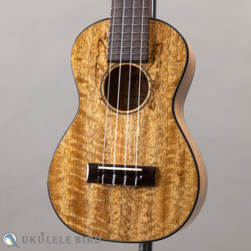 Asturias Tiny Concert Mango LTD