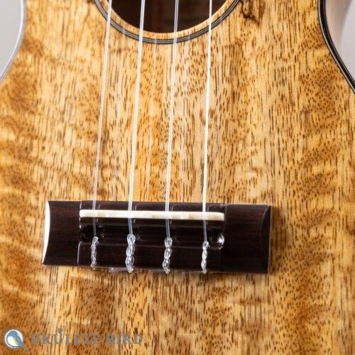 Asturias Tiny Concert Mango LTD