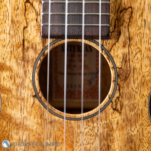 Asturias Tiny Concert Mango LTD