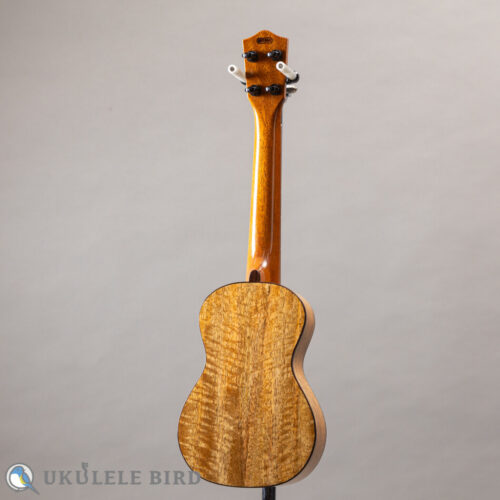 Asturias Tiny Concert Mango LTD