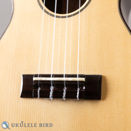 Asturias Solo Spruce Rose 13006