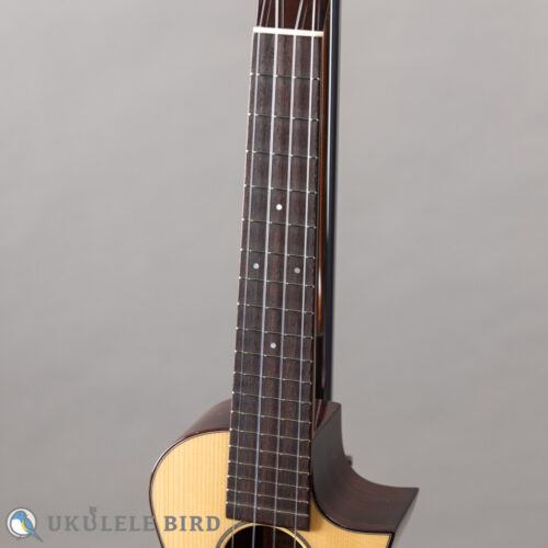 Asturias Solo Spruce Rose 13006