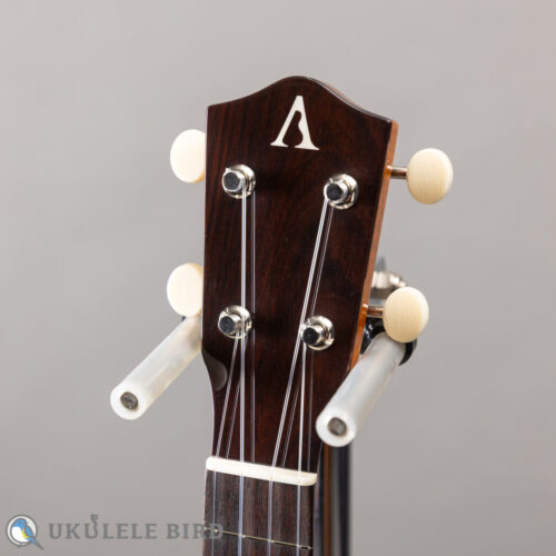 Asturias Solo Spruce Rose 13006