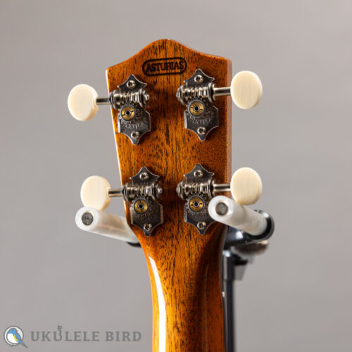 Asturias Solo Spruce Rose 13006