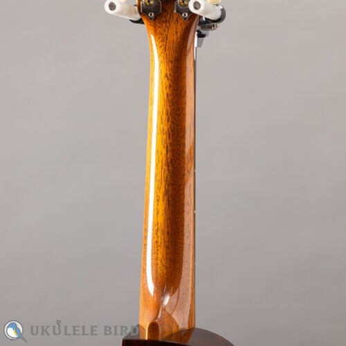Asturias Solo Spruce Rose 13006