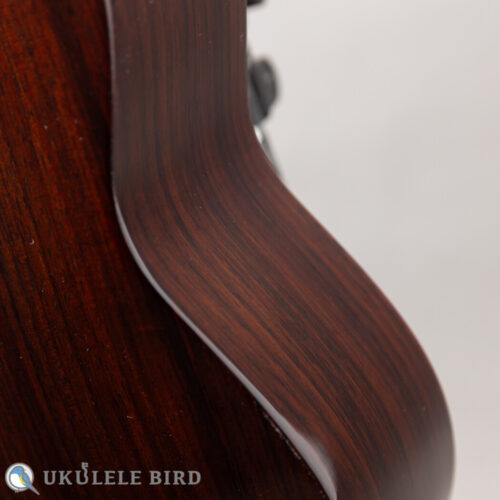 Asturias Solo Spruce Rose 13006