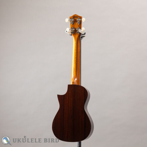 Asturias Solo Spruce Rose 13006