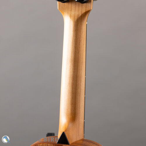 Moodyville Soprano Sapelle