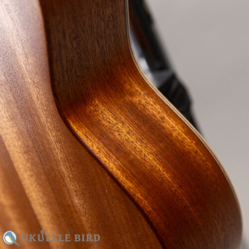 Moodyville Soprano Sapelle