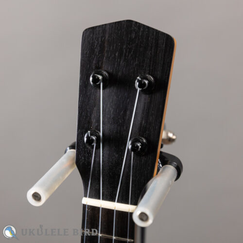Moodyville Soprano Spruce/Walnut