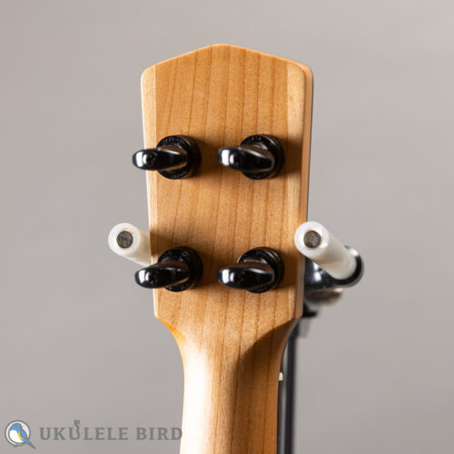 Moodyville Soprano Spruce/Walnut