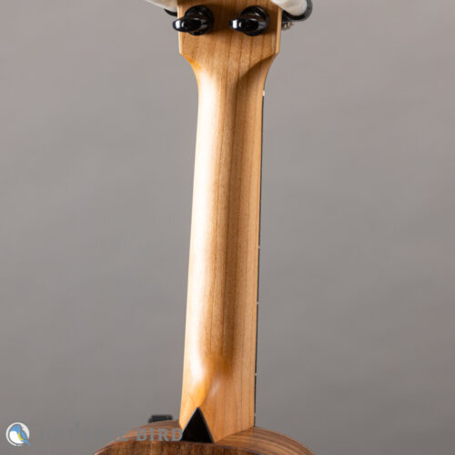 Moodyville Soprano Spruce/Walnut
