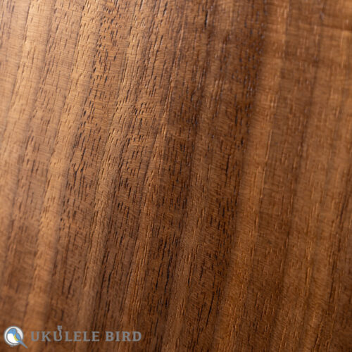 Moodyville Soprano Spruce/Walnut