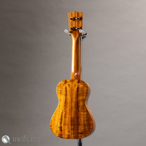 Kelii S-GV