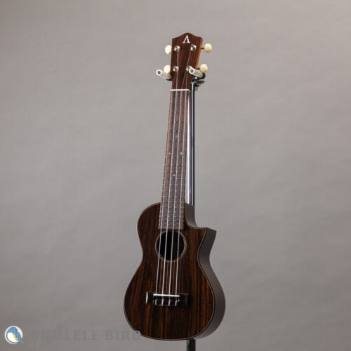 Asturias Solo Rosewood 13028