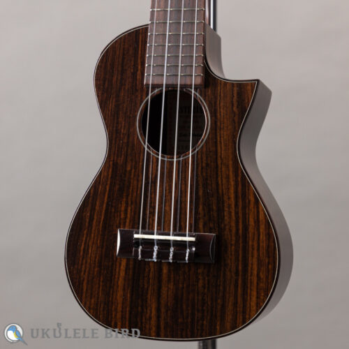 Asturias Solo Rosewood 13028