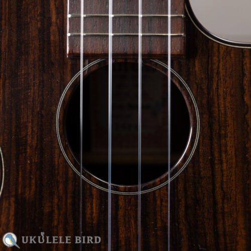 Asturias Solo Rosewood 13028