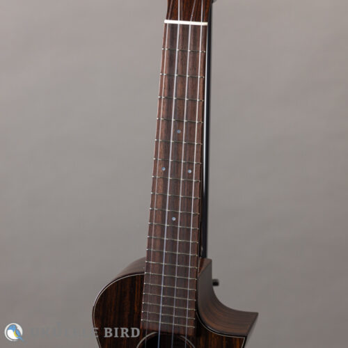 Asturias Solo Rosewood 13028