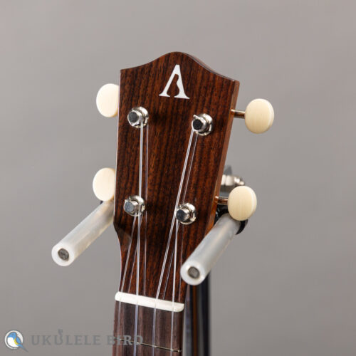 Asturias Solo Rosewood 13028
