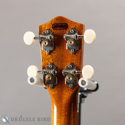 Asturias Solo Rosewood 13028