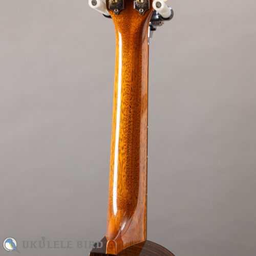 Asturias Solo Rosewood 13028